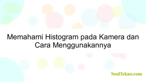 Memahami Histogram pada Kamera dan Cara Menggunakannya