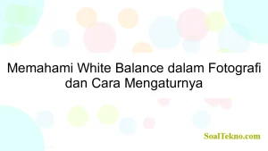 Memahami White Balance dalam Fotografi dan Cara Mengaturnya