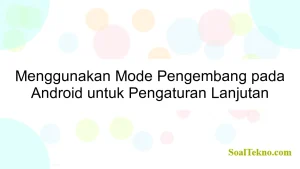 Menggunakan Mode Pengembang pada Android untuk Pengaturan Lanjutan