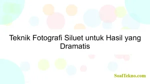 Teknik Fotografi Siluet untuk Hasil yang Dramatis