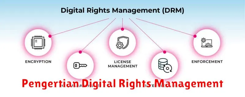 Pengertian Digital Rights Management