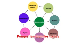 Pengertian bioinformatics