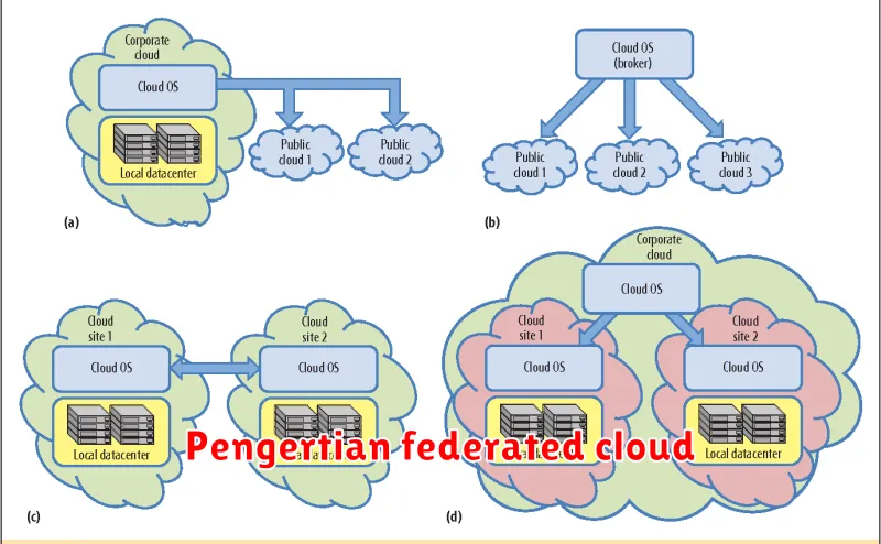 Pengertian federated cloud