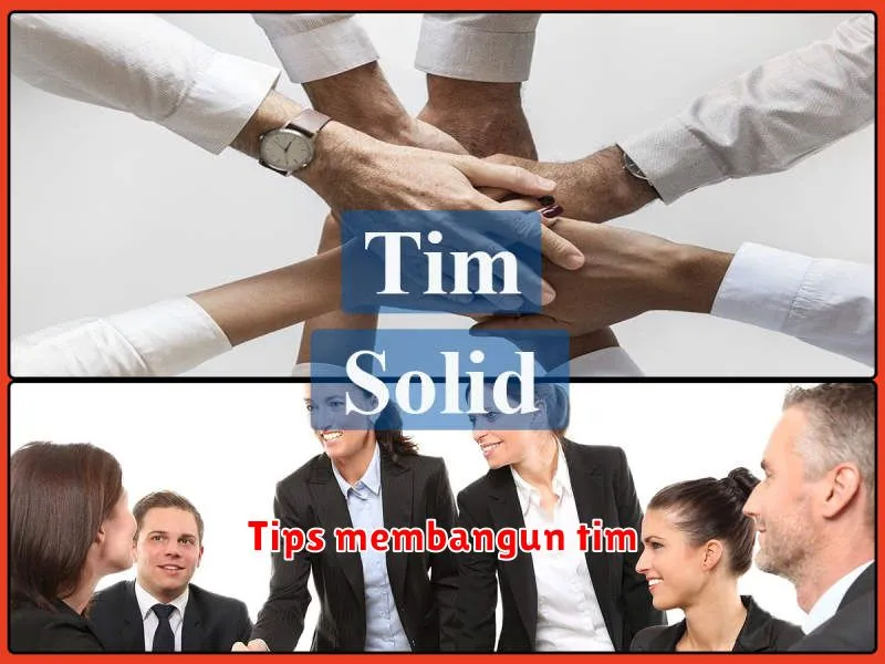 Tips membangun tim