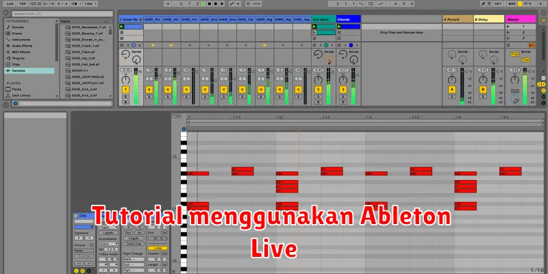 Tutorial menggunakan Ableton Live