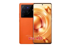 Vivo X80