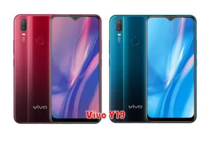 Vivo Y19