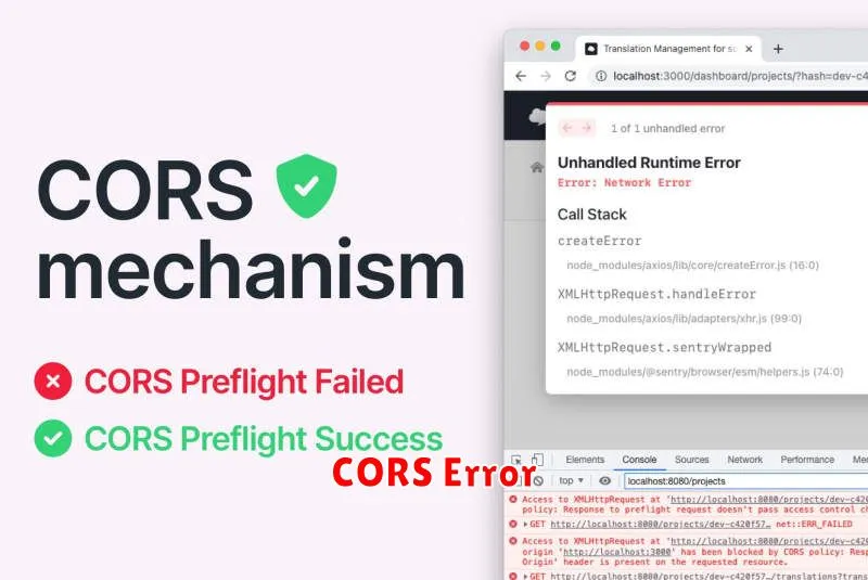 CORS Error