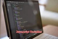 Javascript Variables