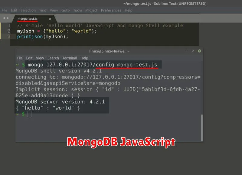 MongoDB JavaScript