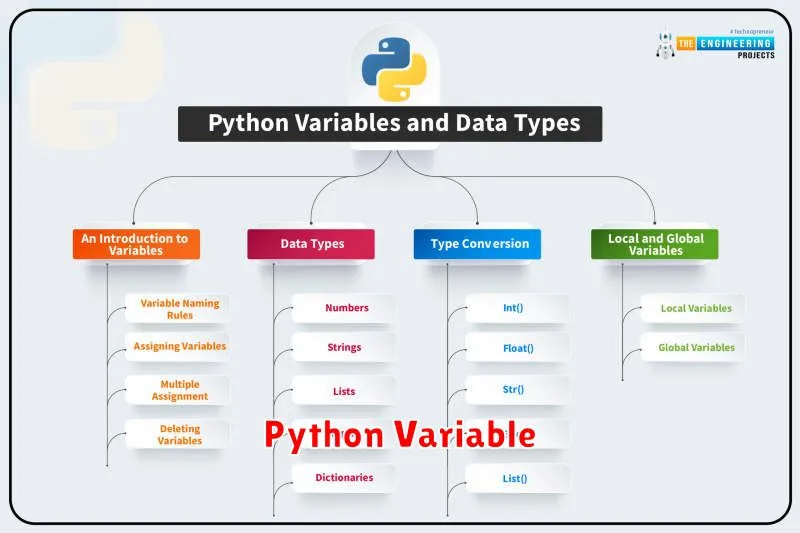 Python Variable