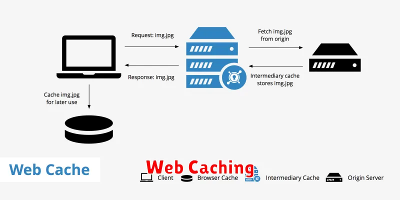 Web Caching